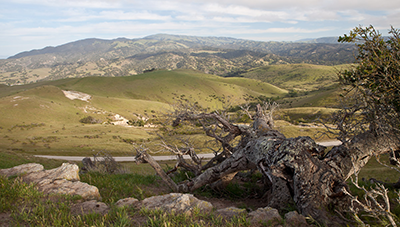 Fort Ord Lands